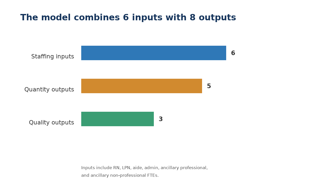 DEA model dimensions showing six staffing inputs, five quantity outputs, and three quality outputs