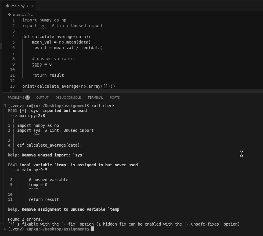 Terminal showing ruff check output listing style issues and potential errors found in Python files